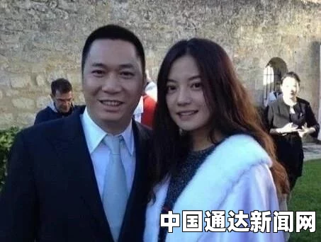 赵薇老公黄有龙被起诉事件大揭秘