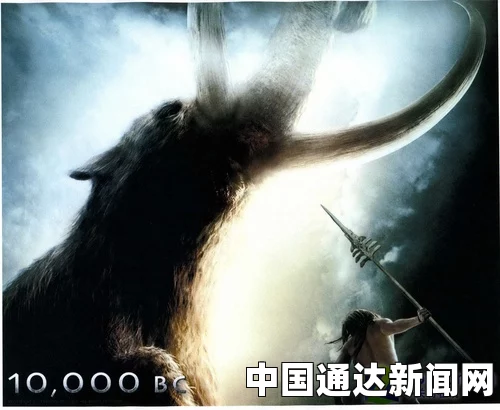 4虎永久：探索武打片的魅力与刺激，影视作品与小说的极限评价