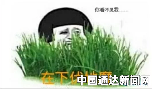 51吃瓜莫得找爹：探索影视武打片的刺激与评价，揭示背后的故事与情感