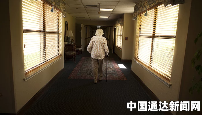 老人做交易森林现场：探索生命的智慧与热情交织，见证自然中的灵魂共鸣