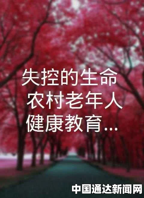 老人做交易森林现场：探索生命的智慧与热情交织，见证自然中的灵魂共鸣
