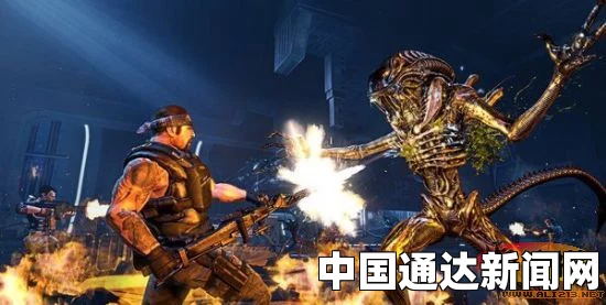 雷电将军被爆 羞羞网站：影视探索中的武打片与小说评价，刺激无比的故事情节引人入胜