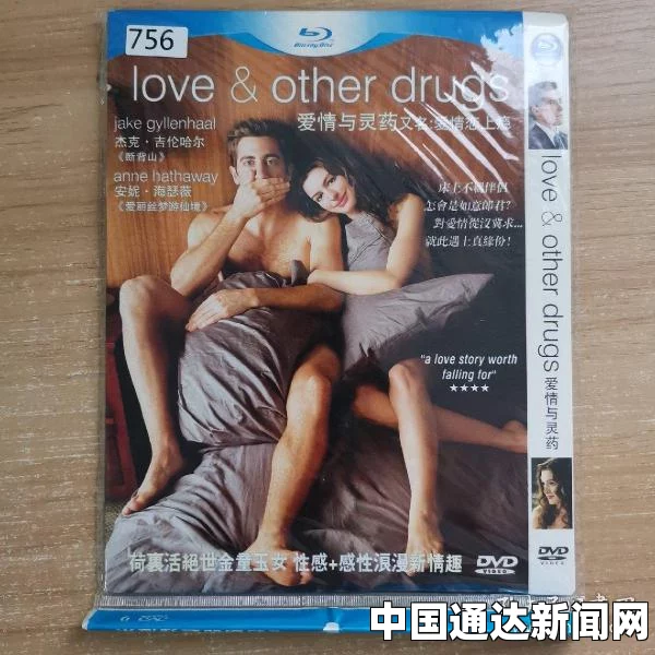 高清DVD碟片生活片：探索每一个激情瞬间，带你领略细腻生活的真实与美好