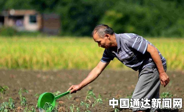 趁父亲不在，子代父职耕亩田——在阳光下豪情满怀，挥洒汗水谱写未来农梦的激情画面