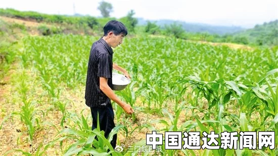 趁父亲不在，子代父职耕亩田——在阳光下豪情满怀，挥洒汗水谱写未来农梦的激情画面