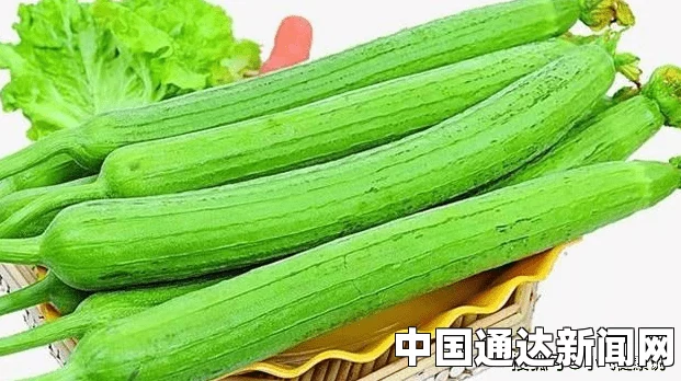 草莓视频在线丝瓜：一场影视探索之旅，武打片的激情碰撞，小说与评价带来的刺激体验
