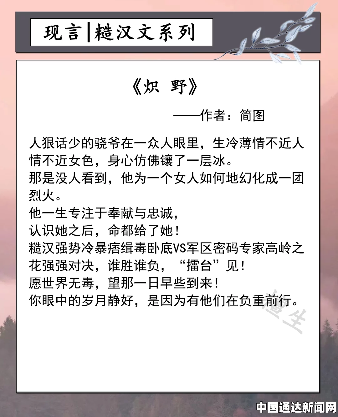 《室友是糙汉》：一部融合影视探索与刺激武打元素的小说，值得期待和深入评价。