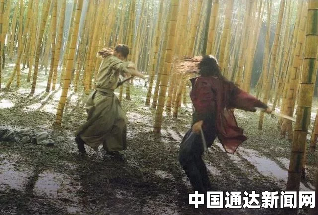 日韩久：探索影视中的武打片魅力，小说与评价交织下的刺激体验