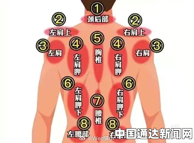 后背疼痛位置图详解