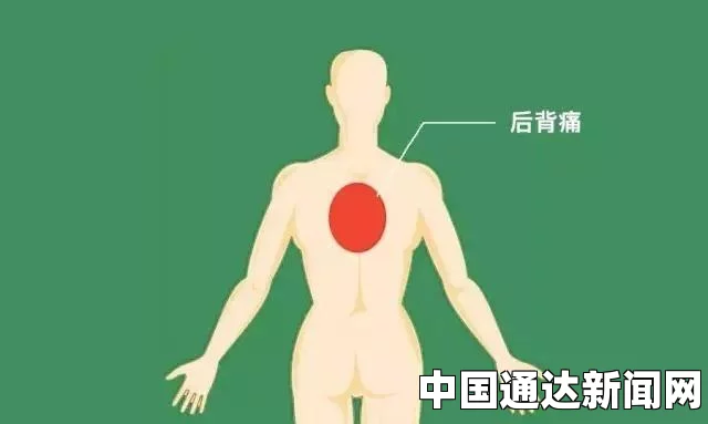 后背疼痛位置图详解