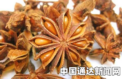 茴香的功效与作用