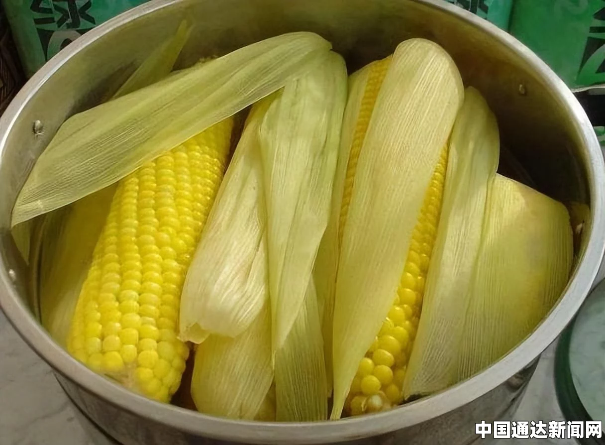 玉米的热量