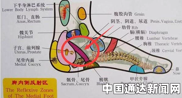 痛风是一种由于高尿酸血症引起的代谢性疾病，常常表现为关节红肿、热痛等症状。痛风发作时，消肿止痛是患者最为关心的问题。下面将介绍一些痛风消肿止痛最快的方法。