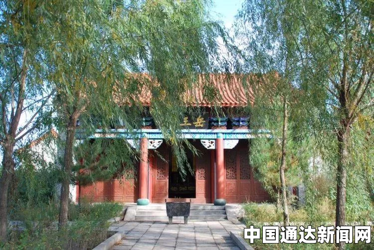 巴黎一男子驾车冲撞清真寺人群未遂 被警方逮捕