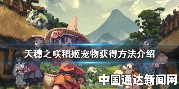 探索宠物格噜噜的获得之旅